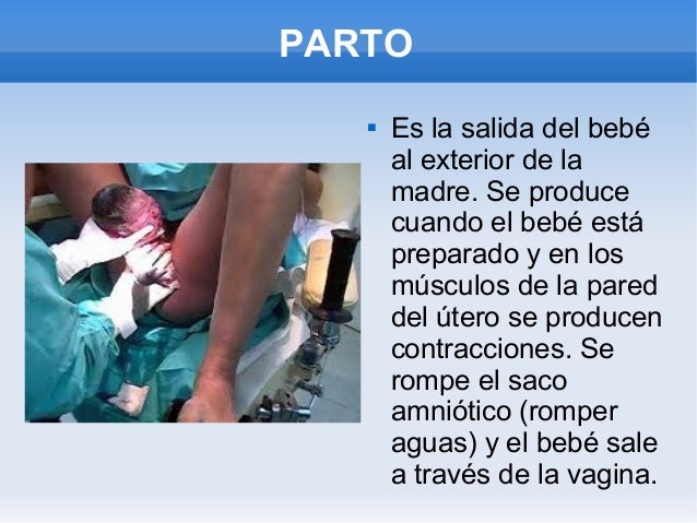 Resultado de imagen de FECUNDACIÓN HUMANA"