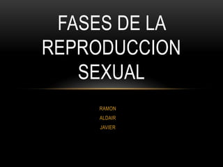 RAMON
ALDAIR
JAVIER
FASES DE LA
REPRODUCCION
SEXUAL
 