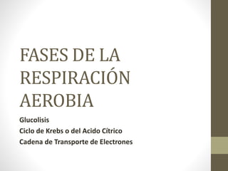 FASES DE LA
RESPIRACIÓN
AEROBIA
Glucolisis
Ciclo de Krebs o del Acido Cítrico
Cadena de Transporte de Electrones
 