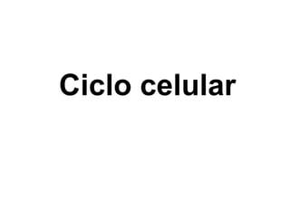 Ciclo celular
 