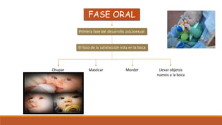 Primera fase del desarrollo psicosexual
El foco de la satisfacción esta en la boca
Chupar Masticar Morder Llevar objetos
nuevos a la boca
FASE ORAL
 