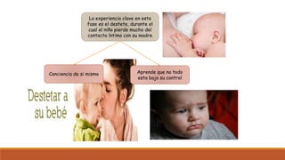 La experiencia clave en esta
fase es el destete, durante el
cual el niño pierde mucho del
contacto íntimo con su madre
Conciencia de si mismo Aprende que no todo
esta bajo su control
 