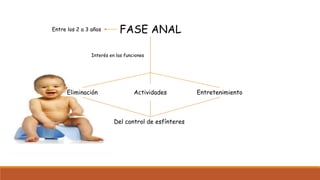 FASE ANALEntre los 2 a 3 años
Eliminación Actividades Entretenimiento
Del control de esfínteres
Interés en las funciones
 