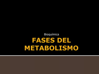 FASES DEL METABOLISMO Bioquímica 