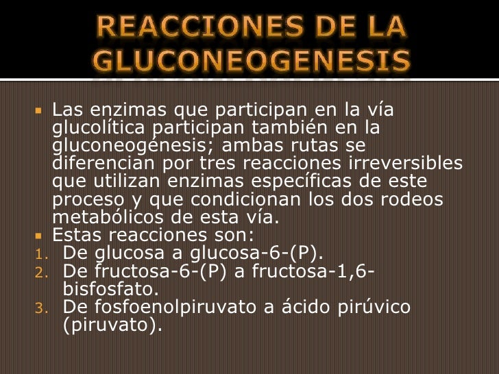 metabolismo cerebral hoja cheet