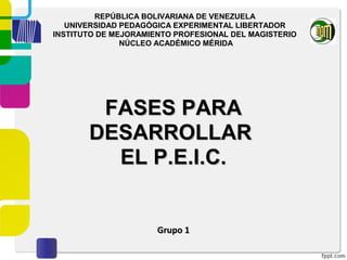 FASES PARAFASES PARA
DESARROLLARDESARROLLAR
EL P.E.I.C.EL P.E.I.C.
Grupo 1Grupo 1
REPÚBLICA BOLIVARIANA DE VENEZUELA
UNIVERSIDAD PEDAGÓGICA EXPERIMENTAL LIBERTADOR
INSTITUTO DE MEJORAMIENTO PROFESIONAL DEL MAGISTERIO
NÚCLEO ACADÉMICO MÉRIDA
 