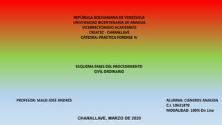 REPÚBLICA BOLIVARIANA DE VENEZUELA
UNIVERSIDAD BICENTENARIA DE ARAGUA
VICERRECTORADO ACADÉMICO
CREATEC - CHARALLAVE
CÁTEDRA: PRÁCTICA FORENSE IV
ESQUEMA FASES DEL PROCEDIMIENTO
CIVIL ORDINARIO
PROFESOR: MALO JOSÉ ANDRÉS ALUMNA: CISNEROS ANALIDA
C.I. 10631870
MODALIDAD: 100% On Line
CHARALLAVE, MARZO DE 2020
 