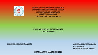 REPÚBLICA BOLIVARIANA DE VENEZUELA
UNIVERSIDAD BICENTENARIA DE ARAGUA
VICERRECTORADO ACADÉMICO
CREATEC - CHARALLAVE
CÁTEDRA: PRÁCTICA FORENSE IV
ESQUEMA FASES DEL PROCEDIMIENTO
CIVIL ORDINARIO
PROFESOR: MALO JOSÉ ANDRÉS ALUMNA: CISNEROS ANALIDA
C.I. 10631870
MODALIDAD: 100% On Line
CHARALLAVE, MARZO DE 2020
 