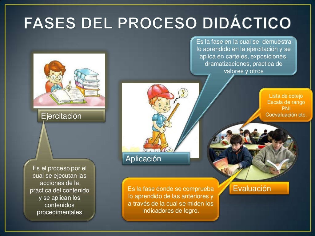 Fases del proceso didáctico