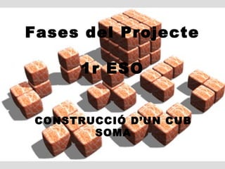 Fases del Projecte

      1r ESO


 CONSTRUCCIÓ D’UN CUB
        SOMA
 