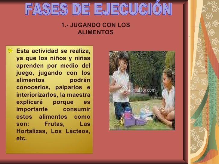 Fases del proyecto