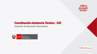 Coordinación Asistencia Técnica - CAT
Dirección de Educación Secundaria
 
