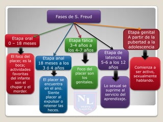 Fases De S. Freud