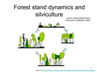 Forest stand dynamics and
silviculture
Source: Serrada, Montero & Reque, 2008. Compendio de Selvicultura aplicada en España
1
José A. Reque Kilchenmann
University of Valladolid, Spain
 