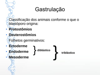 Gastrulação
Classificação dos animais conforme o que o
blastóporo origina:
●
Protostômios
●
Deuterostômios
Folhetos germinativos:
●
Ectoderme
●
Endoderme
●
Mesoderme
}diblástico
} triblástico
 