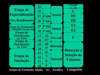 Prepol
                    23                    AeB
  Etapa de          22                     C
Especialização      21   4o uni Senior     D1
Alto Rendimento     20   3o uni            D2
Etapa de Orientação 19   2o uni            E1
C. Mundial/ Europ. Jun           Júnior
                    18   1 uni
                          o                E2
     Etapa de
    Orientação      17     12
      2a. Fase                  Juvenil      F
     Etapa de       16    11  o

    Orientação      15    10o
      1a. Fase                  Iniciado
                    14     9 9
                                         Detecção e
                    13     8 o

    Etapa de        12     7o            Seleção de
                                Infantil Talentos
    Iniciação       11     6o
                    10     5o
Etapas de Formação Idades Ano Escalões Categorias
                         Escolar
 