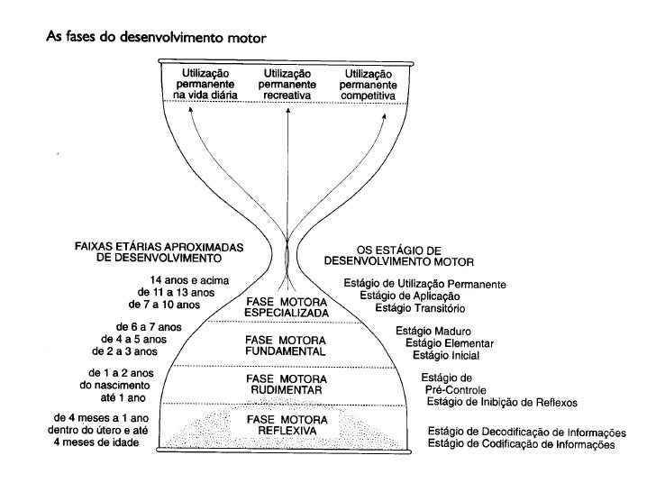 Fases Do Desenvolvimento Motor Fases Do Desenvolvimento Motor