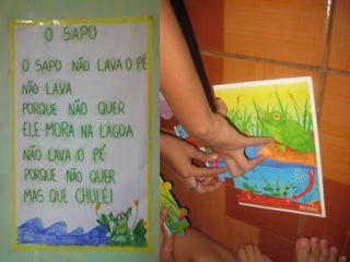 Fases do sapo