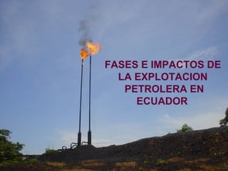 FASES E IMPACTOS DE
  LA EXPLOTACION
   PETROLERA EN
     ECUADOR
 