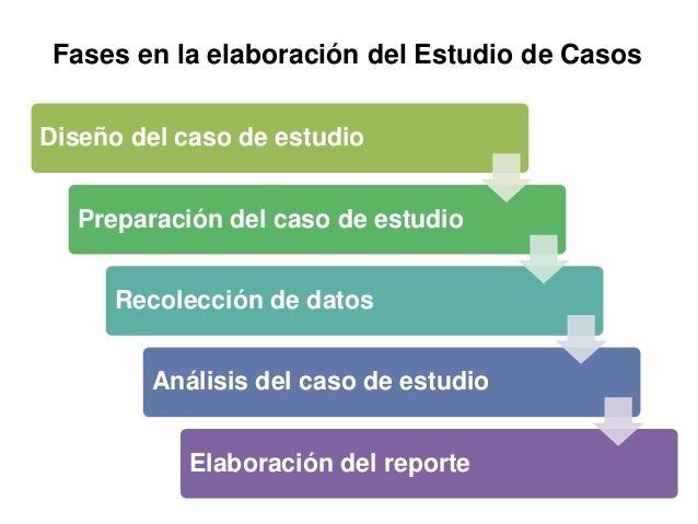 Estructura Del Estudio De Caso