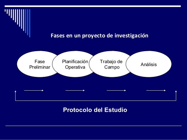 Fases en un proyecto de investigacion