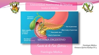 Fisiología Médica
Fonseca Quiroz Kathya IV-5
Universidad Autónoma de Sinaloa
Facultad de Medicina
SISTEMA DIGESTIVO
- Función de la Fase Gástrica –
Fisiología Médica
 