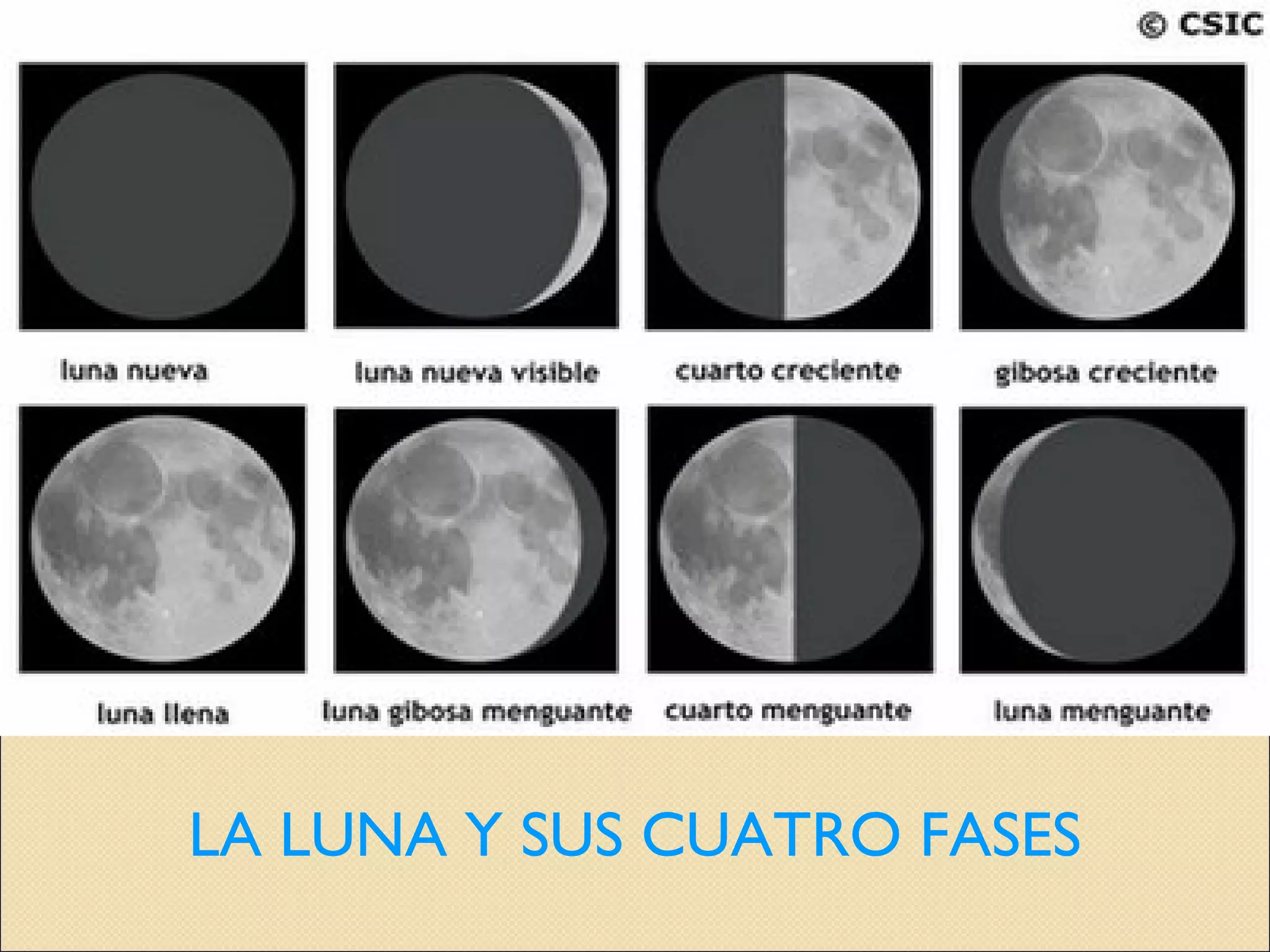 LA LUNA Y SUS CUATRO FASES