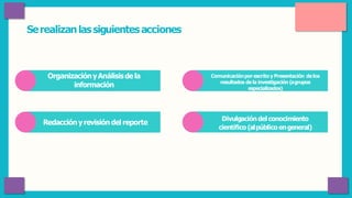 Serealizanlassiguientesacciones
OrganizaciónyAnálisisdela
información
Redacciónyrevisión del reporte
Comunicaciónporescrito y Presentación delos
resultados de la investigación (agrupos
especializados)
Divulgacióndel conocimiento
científico (alpúblico engeneral)
 