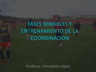 FASES SENSIBLES Y
ENTRENAMIENTO DE LA
   COORDINACION



 Profesor: Fernando López
 
