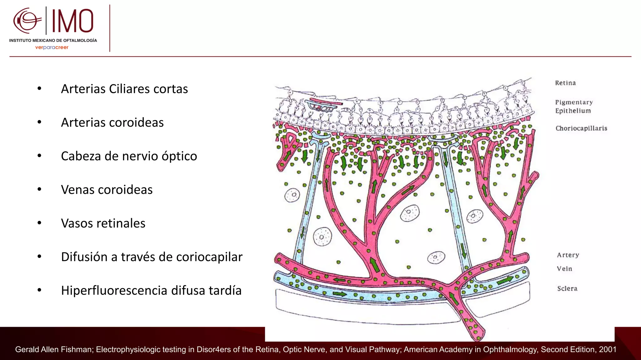 Angiografia Con Verde De Indocianina Fases Y Patrones En VCP angiografia-con-verde-de-indocianina-fases-y-patrones-en-vcp