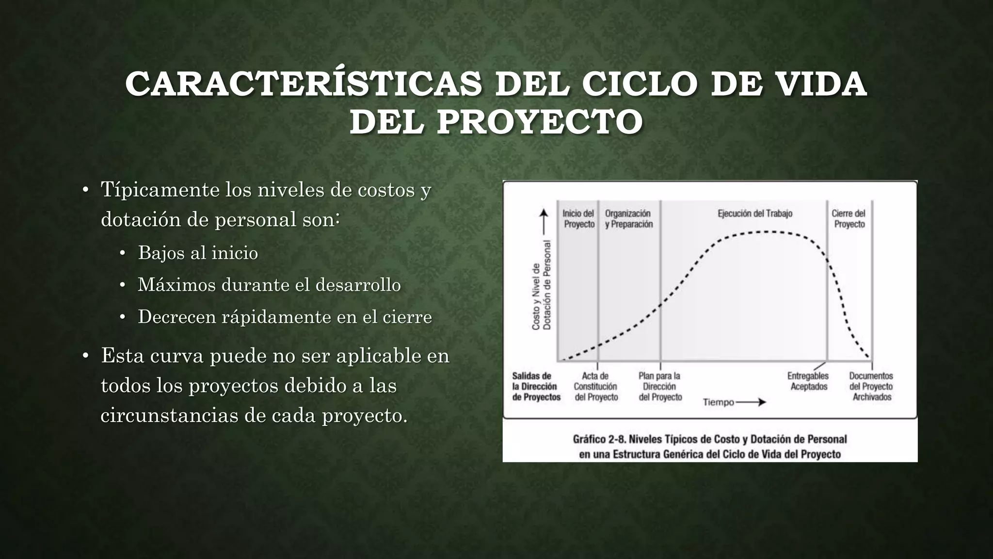 Fases y ciclo de vida del proyecto | PPTX