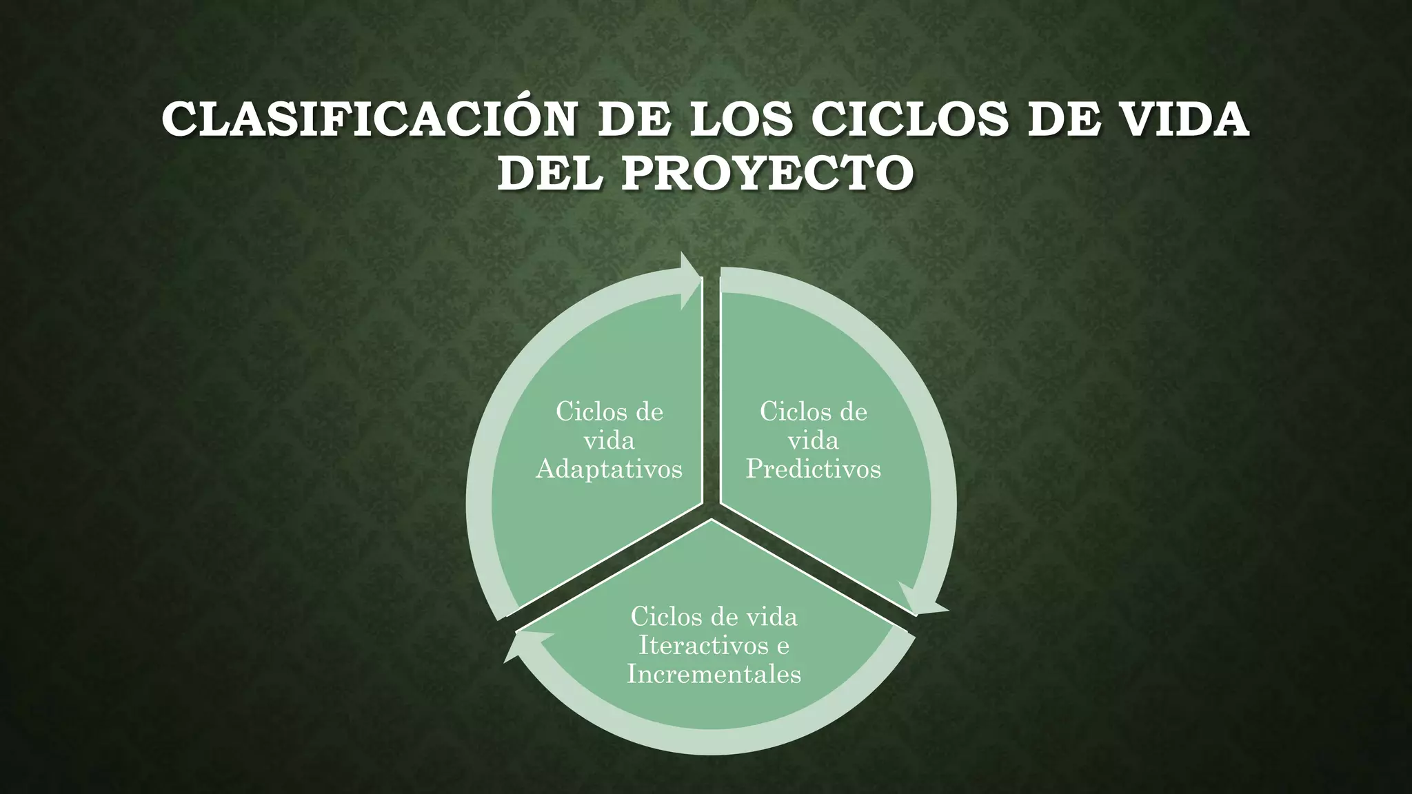 Fases y ciclo de vida del proyecto | PPT