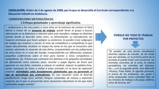 C)ORIENTACIONES METODOLÓGICAS.
1.Enfoque globalizador y aprendizaje significativo.
LEGISLACIÓN: Orden de 5 de agosto de 2008, por la que se desarrolla el Currículo correspondiente a la
Educación Infantil en Andalucía.
“…embarcarse a los tres,cuatro o cinco años en la aventura de conocer el lince
ibérico a través de un proyecto de trabajo, puede llevar al grupo a buscar
información en la biblioteca o internet sobre este mamífero, indagar en distintas
fuentes donde se describa cómo viven, su alimentación, su reproducción, las
mayores amenazas que hacen peligrar su existencia. Se pueden crear subgrupos
de trabajo que analicen y narren al resto de compañeros y compañeras lo que
vayan descubriendo, localizar en mapas las zonas en las que se encuentra este
animal, valorando la situación de este felino, comparándolo con las poblaciones
de otros linces en el resto del mundo, comprendiendo sus diferencias, preparar
pequeñas conferencias sobre el lince para ilustrar a otros compañeros y
compañeras, etc. Práctica que contrasta con plantear a los pequeños actividades
de efectuación como colorear, picar, recortar o pegar figuras de linces que
aparecen en una ficha, contarlos y colocar el cardinal, repasar la palabra lince,
cantar canciones de linces o imitar a estos animales en la hora de expresión
corporal. Actividades estas forzadamente globalizadas que no generarán el
tipo de aprendizaje que pretendemos. En una situación como la descrita
posiblemente tenga poco sentido integrar contenidos de música y expresión
corporal, por lo que se procurarán otras situaciones educativas en las que estos
contenidos tengan sentido.”
“Se pueden de esta forma simultanear
distintos objetos de estudio, de tal modo
que por ejemplo, en la primera parte de la
jornada se puede tratar una secuencia -los
animales concretos de la zona, la noticia
periodística, las entrañas del televisor,
etc.-, y en la segunda parte, otra diferente
-Picasso, Frida Kahlo, la agenda personal,
el precio de los productos, etc.-,junto a
otras propuestas como actividad libre en
los rincones de trabajo o de juego, talleres,
actos de lectura, etc.”
PORQUE NO TODO SE TRABAJA
POR PROYECTOS
 
