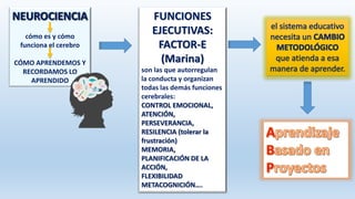 cómo es y cómo
funciona el cerebro
CÓMO APRENDEMOS Y
RECORDAMOS LO
APRENDIDO
FUNCIONES
EJECUTIVAS:
FACTOR-E
(Marina)
son las que autorregulan
la conducta y organizan
todas las demás funciones
cerebrales:
CONTROL EMOCIONAL,
ATENCIÓN,
PERSEVERANCIA,
RESILENCIA (tolerar la
frustración)
MEMORIA,
PLANIFICACIÓN DE LA
ACCIÓN,
FLEXIBILIDAD
METACOGNICIÓN….
 