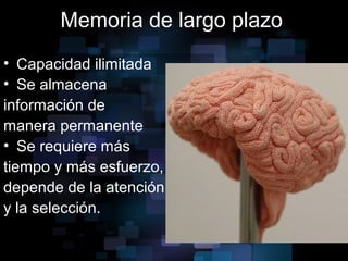 Memoria de largo plazo
• Capacidad ilimitada
• Se almacena
información de
manera permanente
• Se requiere más
tiempo y más esfuerzo,
depende de la atención
y la selección.
 