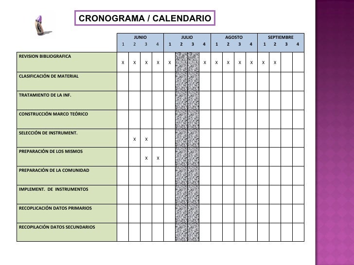 Fase trabajo de campo