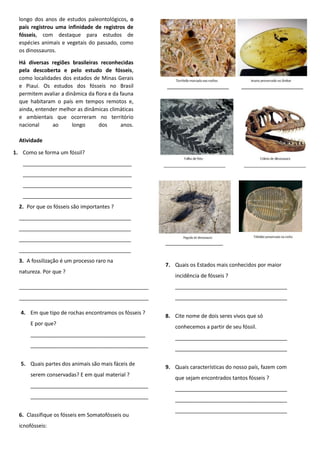 longo dos anos de estudos paleontológicos, o
país registrou uma infinidade de registros de
fósseis, com destaque para estudos de
espécies animais e vegetais do passado, como
os dinossauros.
Há diversas regiões brasileiras reconhecidas
pela descoberta e pelo estudo de fósseis,
como localidades dos estados de Minas Gerais
e Piauí. Os estudos dos fósseis no Brasil
permitem avaliar a dinâmica da flora e da fauna
que habitaram o país em tempos remotos e,
ainda, entender melhor as dinâmicas climáticas
e ambientais que ocorreram no território
nacional ao longo dos anos.
Atividade
1. Como se forma um fóssil?
_____________________________________
_____________________________________
_____________________________________
_____________________________________
2. Por que os fósseis são importantes ?
______________________________________
______________________________________
______________________________________
______________________________________
3. A fossilização é um processo raro na
natureza. Por que ?
____________________________________________
____________________________________________
4. Em que tipo de rochas encontramos os fósseis ?
E por que?
_______________________________________
________________________________________
5. Quais partes dos animais são mais fáceis de
serem conservadas? E em qual material ?
________________________________________
________________________________________
6. Classifique os fósseis em Somatofósseis ou
icnofósseis:
7. Quais os Estados mais conhecidos por maior
incidência de fósseis ?
______________________________________
______________________________________
8. Cite nome de dois seres vivos que só
conhecemos a partir de seu fóssil.
______________________________________
______________________________________
9. Quais características do nosso país, fazem com
que sejam encontrados tantos fósseis ?
______________________________________
______________________________________
______________________________________
 