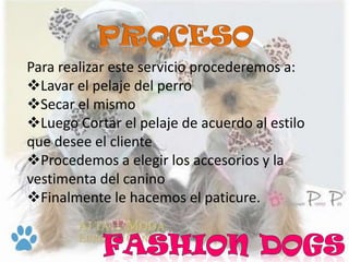 Para realizar este servicio procederemos a:
Lavar el pelaje del perro
Secar el mismo
Luego Cortar el pelaje de acuerdo al estilo
que desee el cliente
Procedemos a elegir los accesorios y la
vestimenta del canino
Finalmente le hacemos el paticure.
 