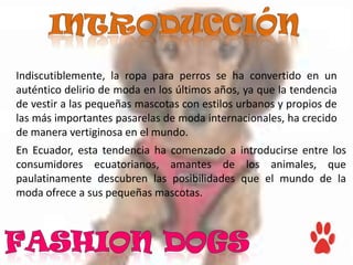Indiscutiblemente, la ropa para perros se ha convertido en un
auténtico delirio de moda en los últimos años, ya que la tendencia
de vestir a las pequeñas mascotas con estilos urbanos y propios de
las más importantes pasarelas de moda internacionales, ha crecido
de manera vertiginosa en el mundo.
En Ecuador, esta tendencia ha comenzado a introducirse entre los
consumidores ecuatorianos, amantes de los animales, que
paulatinamente descubren las posibilidades que el mundo de la
moda ofrece a sus pequeñas mascotas.
 