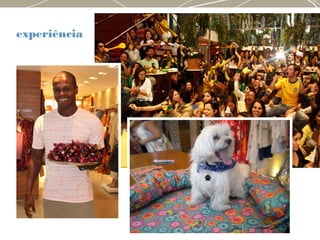 experiência
 