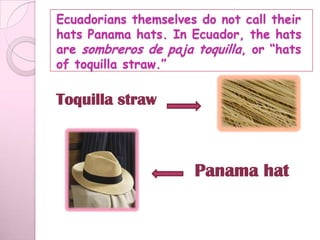 Ecuadorians themselves do not call their
hats Panama hats. In Ecuador, the hats
are sombreros de paja toquilla, or “hats
of toquilla straw.”

Toquilla straw



                      Panama hat
 