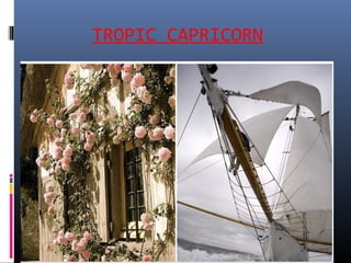 TROPIC CAPRICORN
 