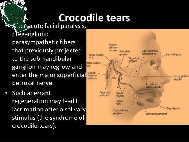 Amateur out door blowjobs 2 girls Crocodile tears facial