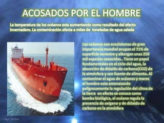Los océanos son ecosistemas de gran
importancia mundial ocupan el 71% de
superficie terrestre y albergan unas 250
mil especies conocidas.. Tiene un papel
fundamentales en el ciclo del agua, la
absorción de dióxido de carbono(CO2) de
la atmósfera y son fuente de alimento. Al
contaminar el agua de océanos y mares
el hombre esta amenazando
peligrosamente la regulación del clima de
la tierra en efecto se conoce como
bomba biológica, el océano regula la
presencia de oxigeno y de dióxido de
carbono en la atmósfera
 