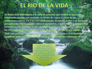 EL RIO DE LA VIDA
Se llama siclo hidrológico a la serie de procesos que realiza el agua que
comienzan cuando esta asciende en forma de vapor, a causa de las
radiaciones solares. En Una vez condensando, forma las nubes y en forma de
precipitación (lluvia,graniso, nieve o aguanieve) , vuelve a caer a la superficie
terrestre o a los océanos. Gran cantidad de agua va a parar a los cauces de
los ríos estos procesos conducen a que el agua de los mares sea salada.
Todo este proceso conformado el ciclo del agua gracias a el se mantiene el
equilibrio suficiente para que los océanos conserven sus volúmenes de agua.


                                LOS OCÉANOS SON
                              LA FUENTE PRINCIPAL
                            DEL CICLO QUE PERMITE A
                             TODOS LOS SERES VIVOS
                            DISPONER DE AGUA. AQUÍ
                               PASO A PASO, COMO
                                   FUNCIONA
 