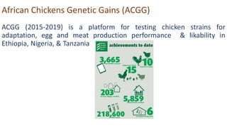 ACGG (2015-2019) is a platform for testing chicken strains for
adaptation, egg and meat production performance & likability in
Ethiopia, Nigeria, & Tanzania
African Chickens Genetic Gains (ACGG)
 