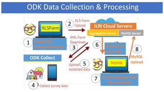 ODK Data Collection & Processing
ILRI Cloud Servers
Data Users
ODK Collect
Design XLS
compatible forms
MySQL ServerAggregation Server
Download
json data
MySQL
Processing json data
files to MySQL
6
7
5
4
2
3
1
8
MySQL
Upload
 