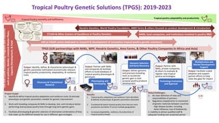 Project Scope:
1. Identify & define tropical poultry adaptation and resilience traits, & estimate
phenotypic and genetic parameters needed for genetic improvement
2. Work with breeding companies & NARs to develop, test, and introduce better-
performing dual-purpose poultry lines through long-term genetic gains
3. Facilitate phenotyping & genomic selection of alternative combinations of lines
that make up the different breeds for use in different agro-ecologies
Results:
1. Topical poultry adaptation and resilience traits identified
& defined, & phenotypic & genetic parameters estimated
2. Crossbreed & hybrid tropical poultry lines that are more
productive and better fit across multiple geographies
3. Increased adaptability, resilience, & productivity of
tropical poultry breeds
Risks/challenges:
1. No clear definition of roles and
responsibilities of partners.
2. Regulatory impediments to movement
of genetic materials between countries
-high disease burden, including
Avian Influenza; Loss of biodiversity
3. Inability to attract qualified staff &
adequate funding over projected period
Tropical Poultry Genetic Solutions (TPGS): 2019-2023
NARS, local companies, and institutions involved in poultry R&D
ILRIandCGIARCrosscuttingProgramsandPlatforms
suchaspolicies,Gender,LivestockMasterPlans,
CapacityDevelopment,&Feed
Tropical poultry adaptability and productivity
TPGS (ILRI partnerships with NARs, WPF, Hendrix Genetics, Amo Farms, & Other Poultry Companies in Africa and Asia)
CTLGH & Other Centers of Excellence in Poultry Genetics
Hendrix Genetics, World Poultry Foundation, AMO farms & others focused on product development & introduction
ILRI (a CGIAR centre dedicated to research & development of innovative tropical poultry genetic solutions)
Output: Identify, define, & characterize (phenotypic &
genetic parameter estimation) economically-relevant
tropical poultry productivity, adaptability, & resilience
traits
Discovery & Translational
Research
Output: Partner with NARs
and companies & facilitate
efforts to build database of
tropical poultry phenotypes &
genotypes
Phenotyping and
Genotyping
Output: Deliver genomic
and precision breeding
tools to accelerate
genetic gain in dual
purpose poultry products
development
Genomic Selection
and Gene Discovery Output: Partner with
NARs, private companies,
& others to evaluate &
register new tropical
poultry technologies
Technology Evaluation
and Approval
Output: Facilitate scaled
adoption and support
partner efforts to help
close key gaps for impact
Multiplication and
Market Development
Support
Tropical Poultry mortality and inefficiency
Hendrix
Genetics
 