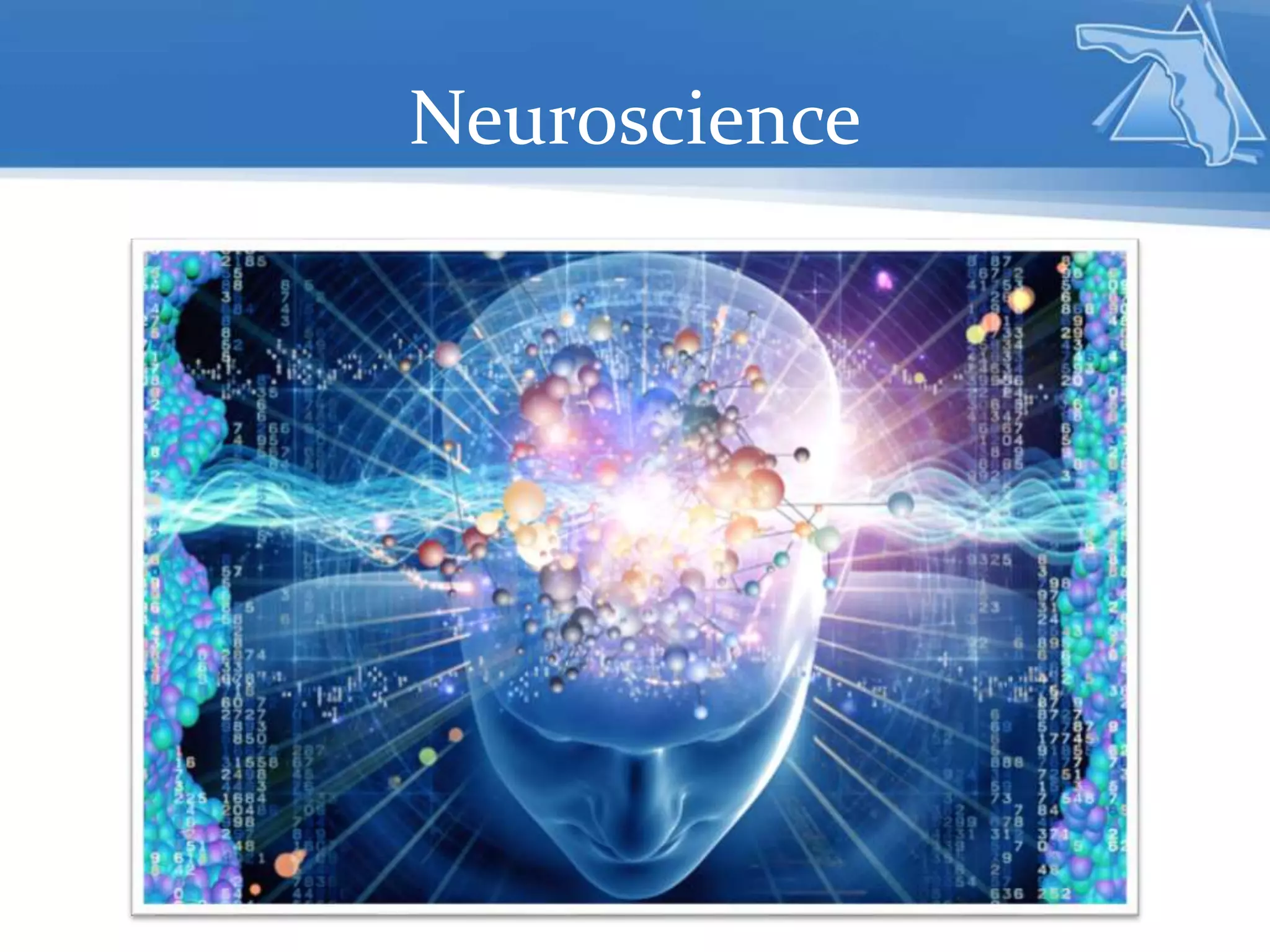Neuroscience
 