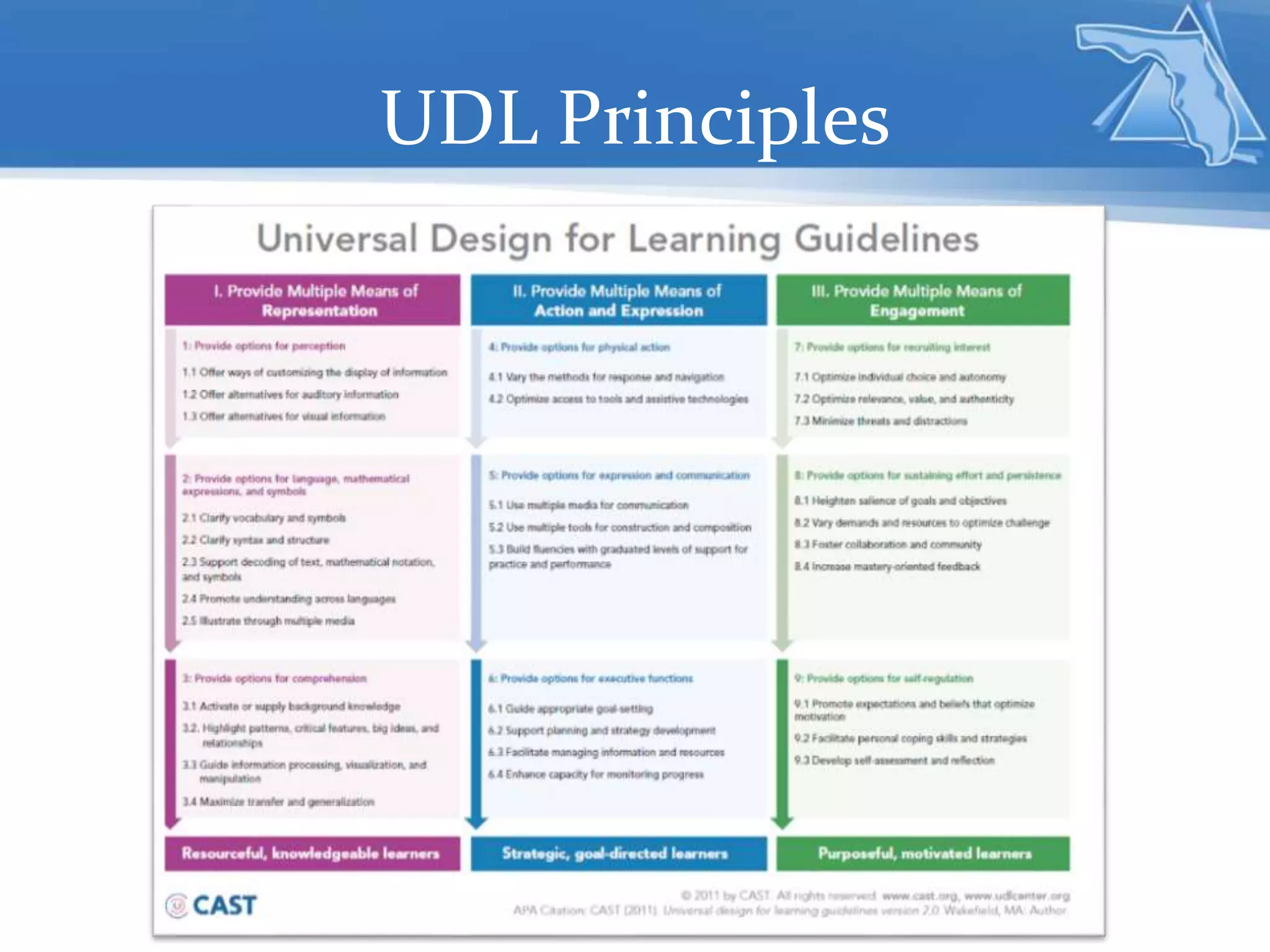 UDL Principles
 